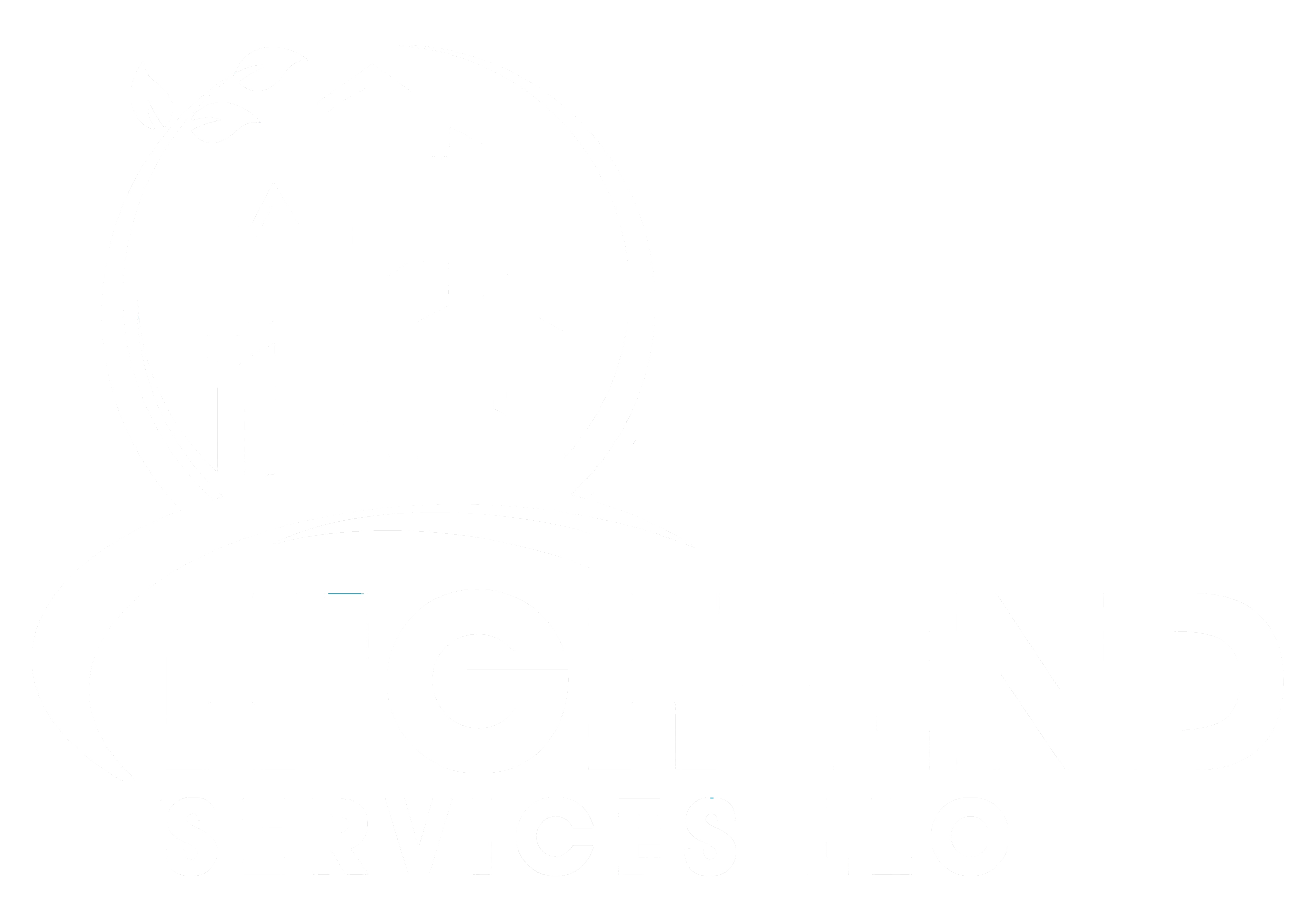 High End Services and Solutions