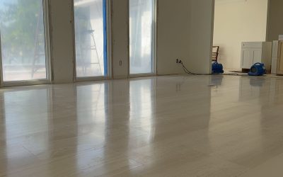 Floor Restoration vs. Replacement: When Should You Restore Your Existing Floor?