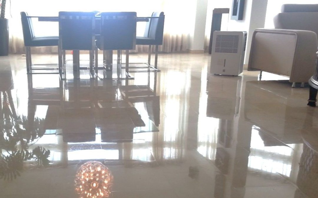 Marble Floor High Shine Tampa Fl