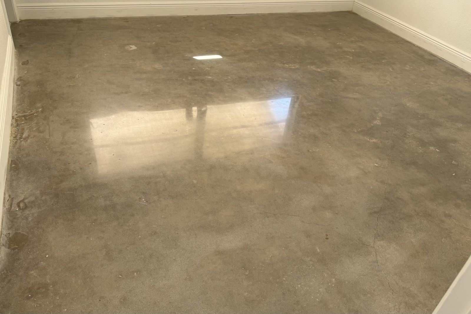 Satin Finish Polished Concrete Tampa Fl