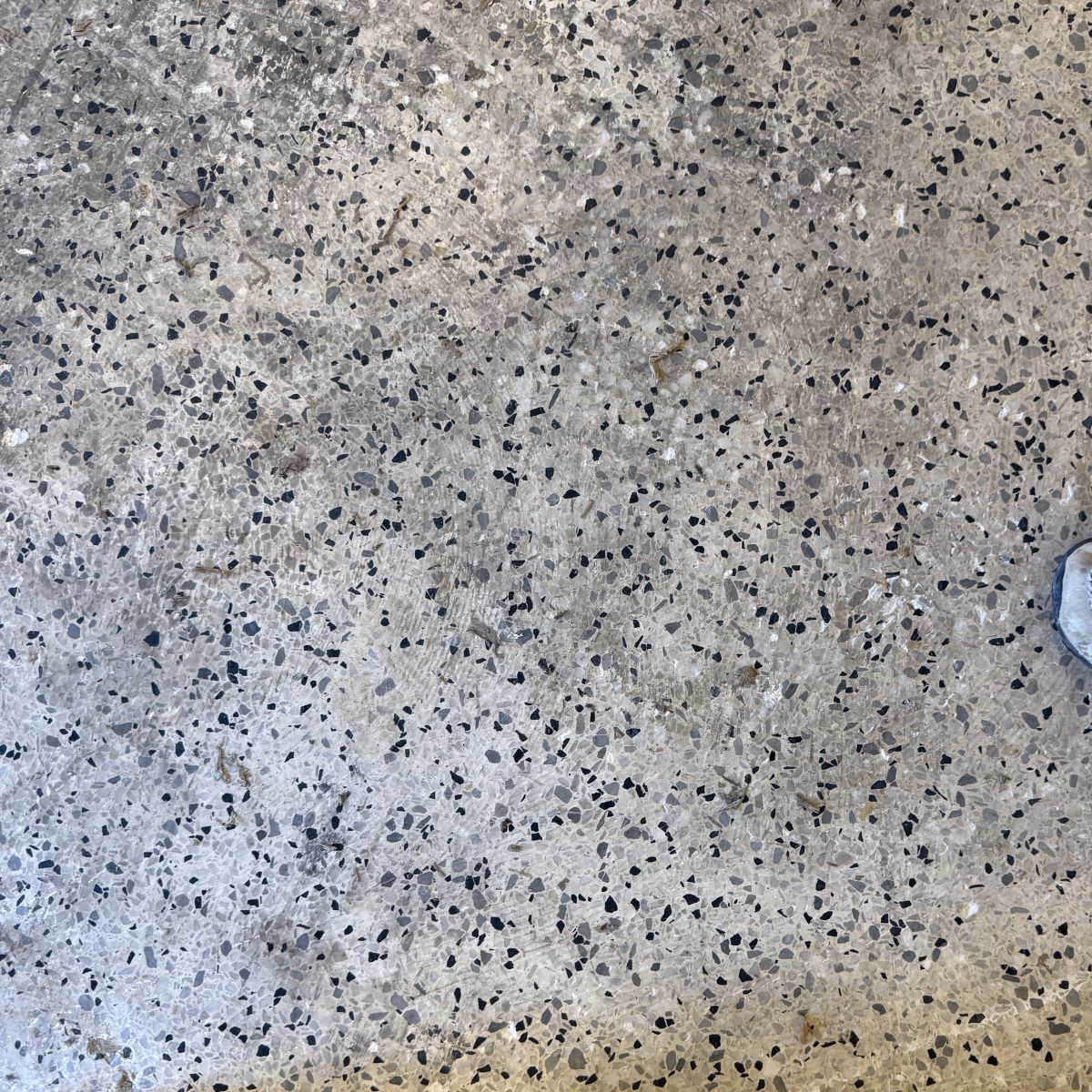 Terrazzo Pitting Before Repair St Pete